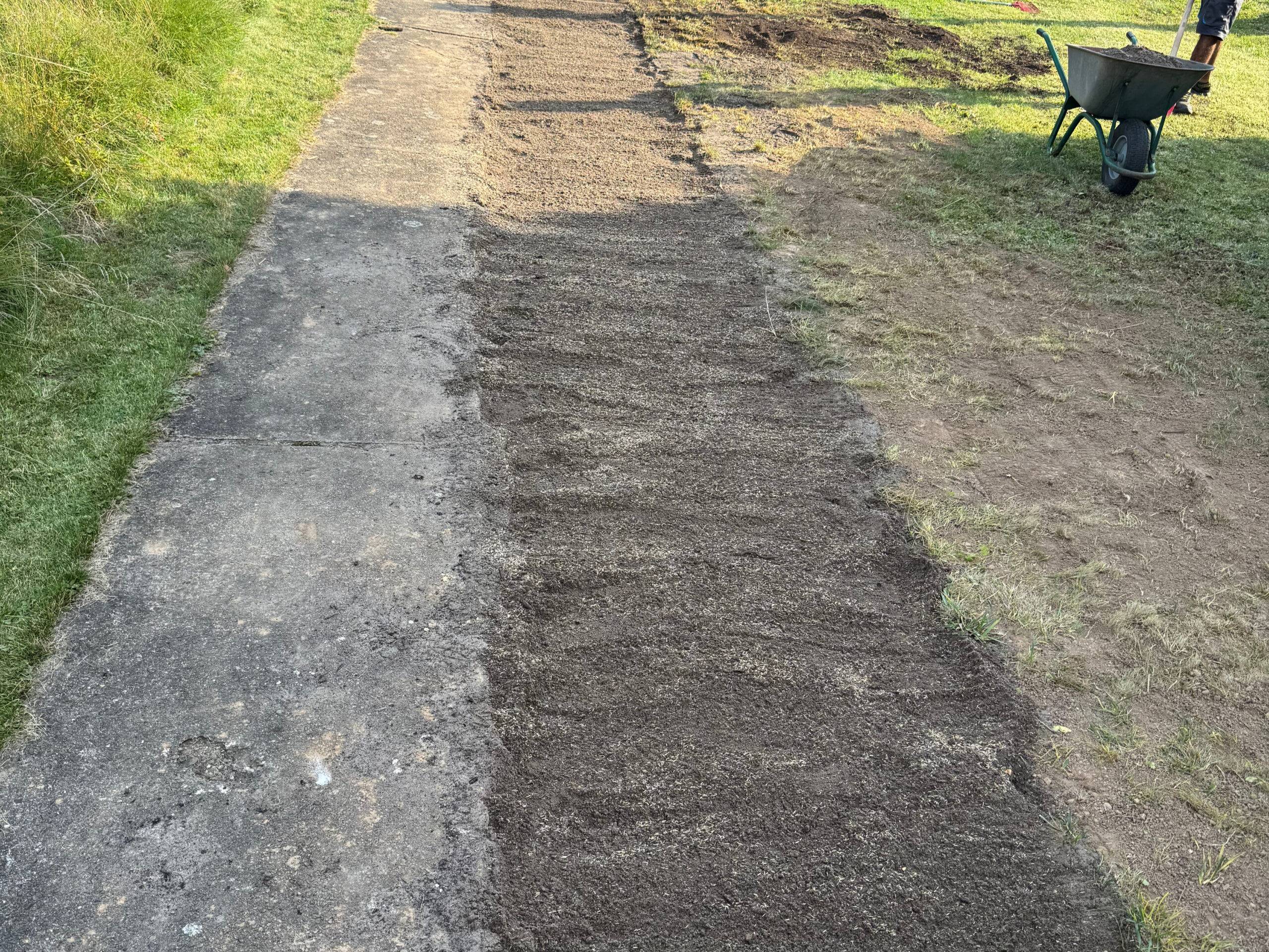 Rasen säen in Nörten-Hardenberg